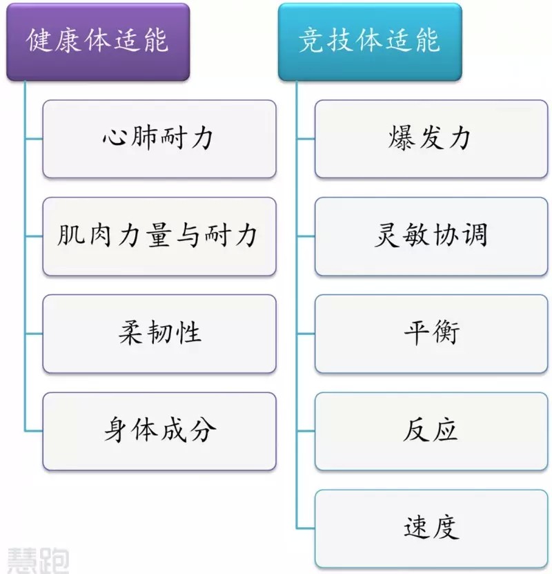 篮球基础训练儿童教案_2